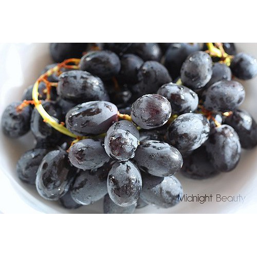 

Anggur Beauty Midnight Afrika Seedlees Premium 0.5 kg