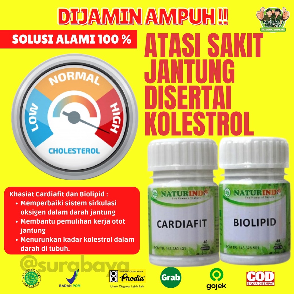 Obat Jantung Koroner Obat Jantung Lemah Telapak Tangan Berkeringat Obat Jantung Herbal Jamu Jantung Sesak Nafas Obat Herbal Perawatan Jantung Jantung sering Berdebar Nyeri Dada sebelah Kiri Tradisional BPOM CARDIAFIT Naturindo Surabaya-JANTUNG+KOLESTROL