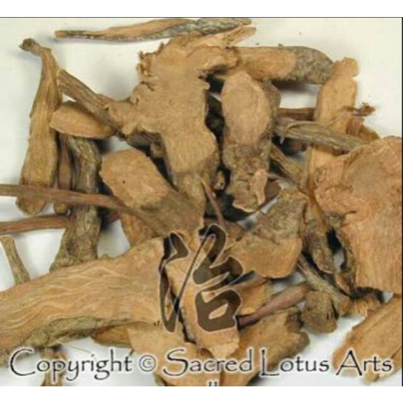 

10 G 50 GR 100 GRAM 地榆片 DI YU GARDEN BURNET ROOT