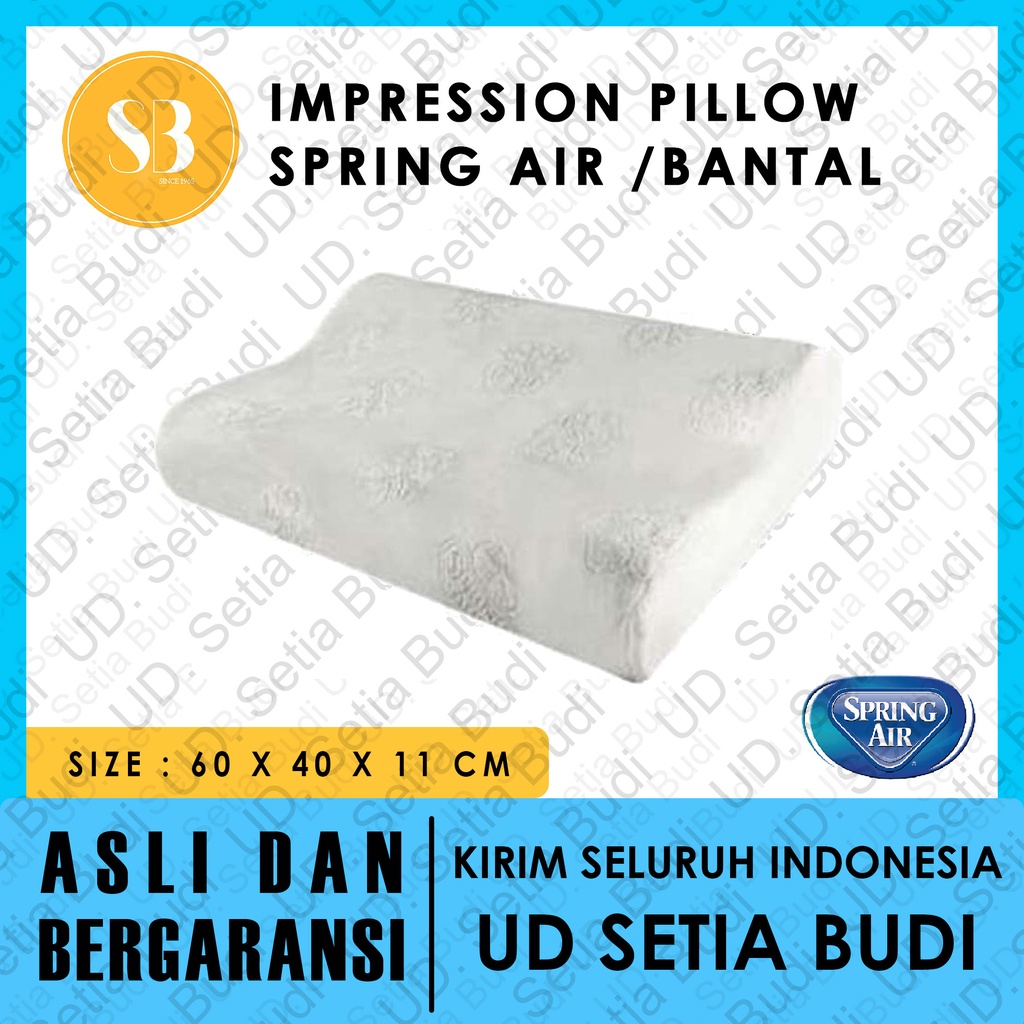 Bantal Spring Air Impression Pillow