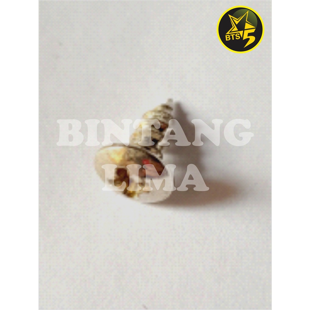 SPARE PARTS / ONDERDIL / SUKU CADANG Alat Tanam Jagung BINTANG LIMA - Skrup, Sekrup BTS5-SP01 ORIGIN