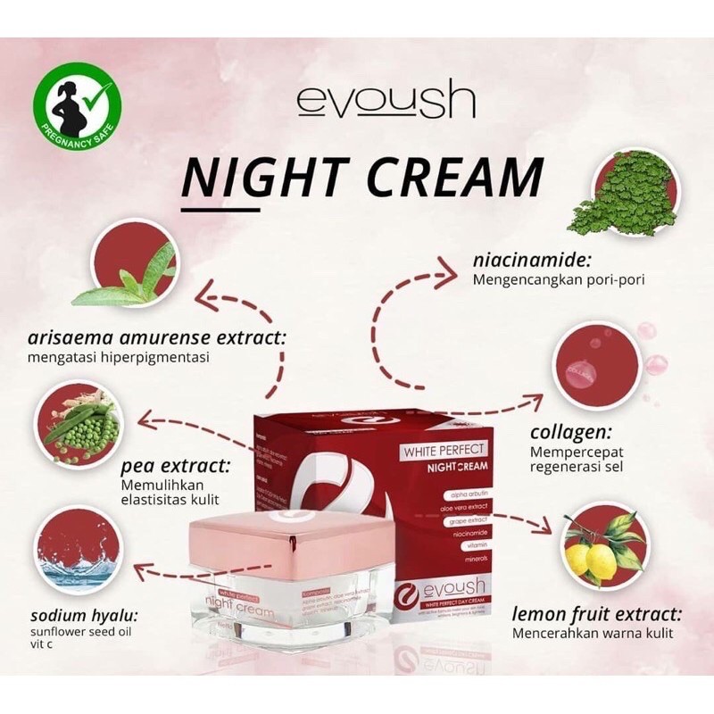krim malam / krim pemutih / Night Cream Evoush / krim wajah