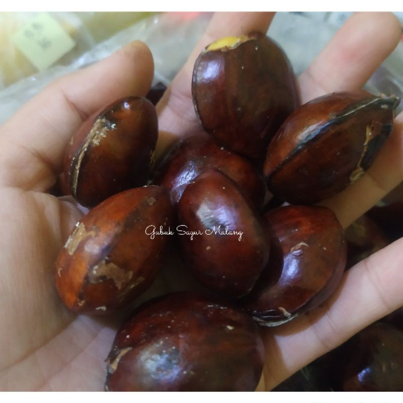 

Jengkol Kupas / Jengkol Mentah 500 gram