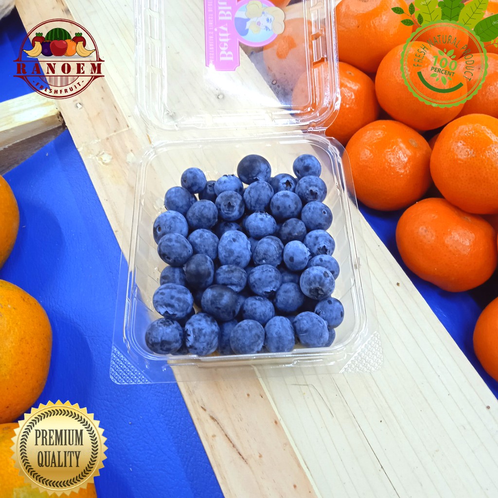 

Buah Blueberry /1pack