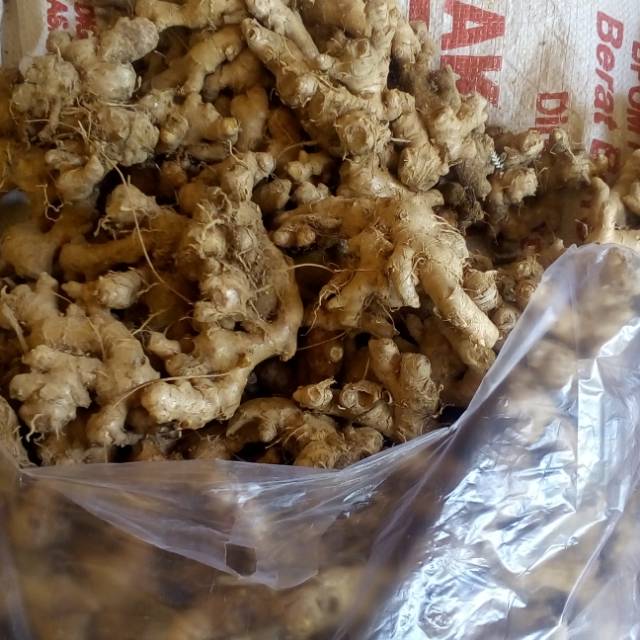 

Jahe emprit super pedas murah