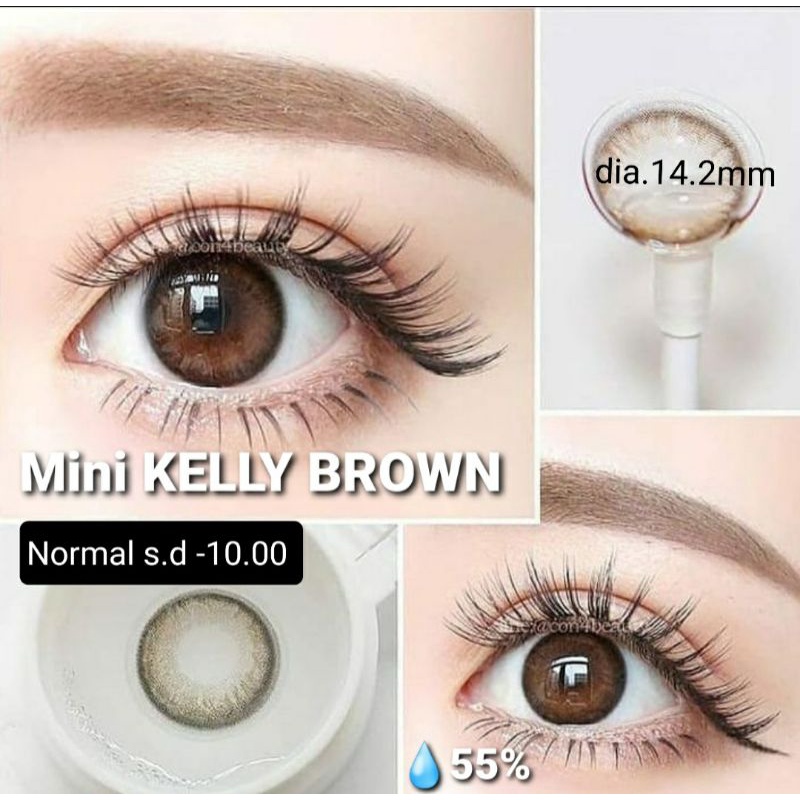 SOFTLENS MINI KELLY GRAY BROWN NORMAL MINUS