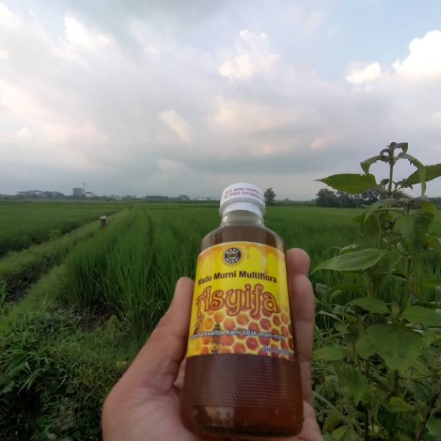 

Madu Murni/ 100% Madu Murni/ Pure Honey/ Madu Manis/ Madu Asyifa