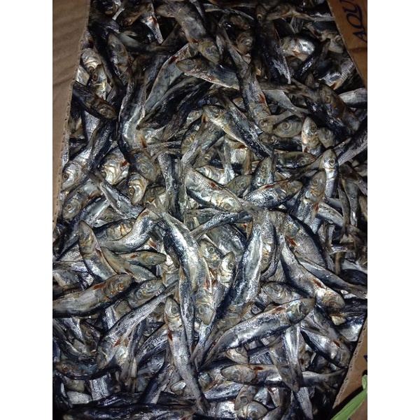 

Ikan Asin Sempenit 500 gram