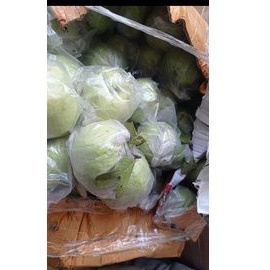 

jambu kristal