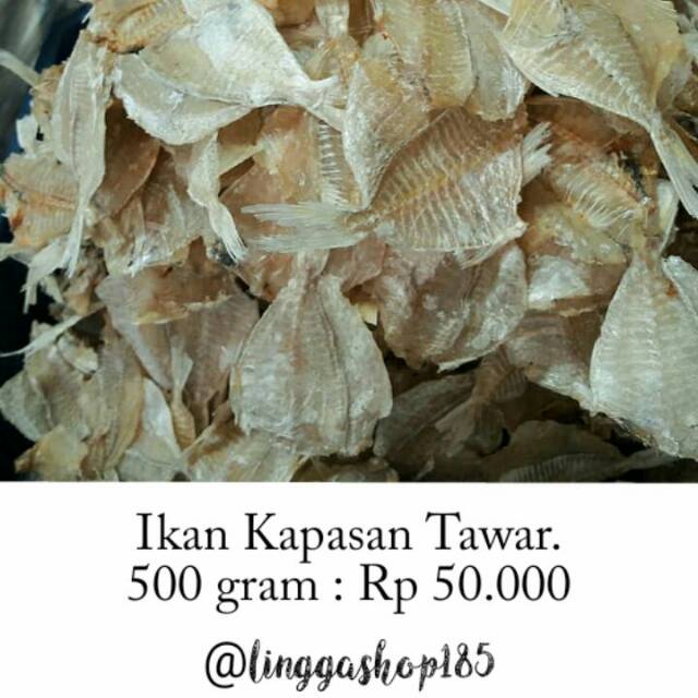 

Ikan Kapasan Tawar