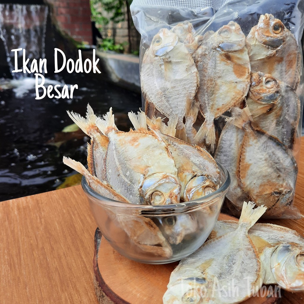 

Ikan Asin Dodok Kering Besar / Ikan Asin Petek Besar 500gr (Mentah) - Toko Asih / Gereh / Gerih / Dodog