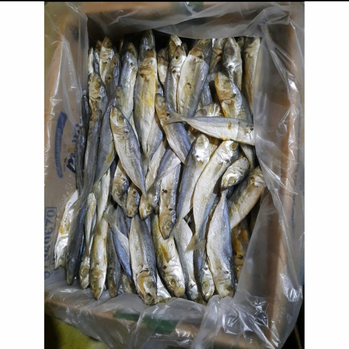 

IKAN ASIN JAPUH 100gr