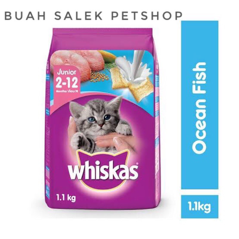 Whiskas Junior • Whiskas Junior Ocean Fish • Whiskas Junior Ocean Fish 1,1 Kg • Freshpack