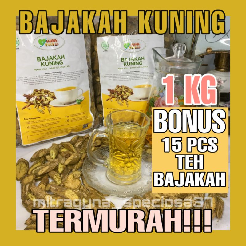 

akar bajakah kuning 1 kg original kayu kalimantan