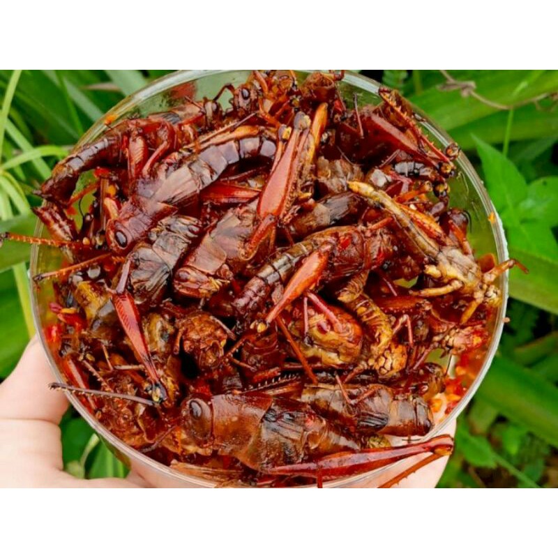 

belalang goreng gunung kidul (walang) murah