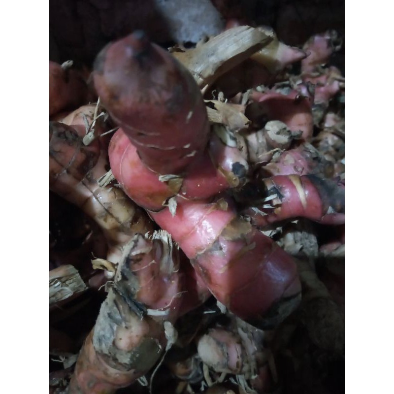 

lengkuas merah 500gr