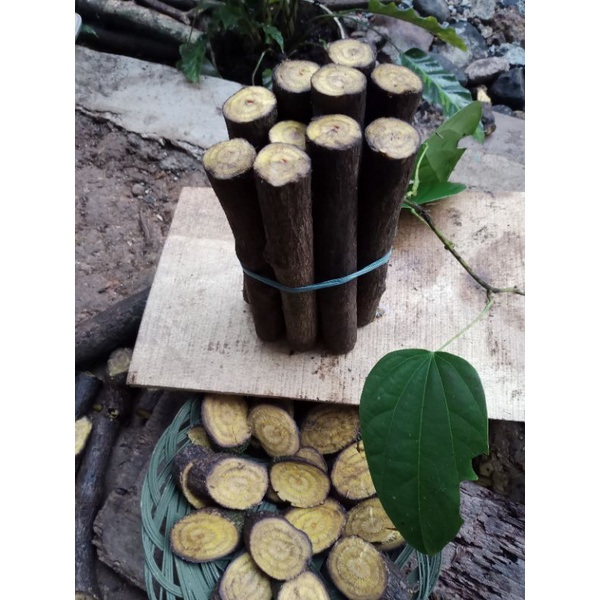 

Akar kayu kuning-kikoneng asli [200gram]