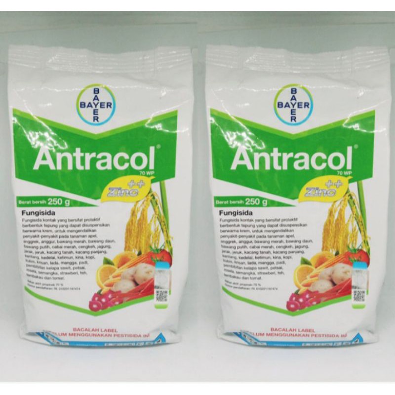 fungisida antracol 250gr