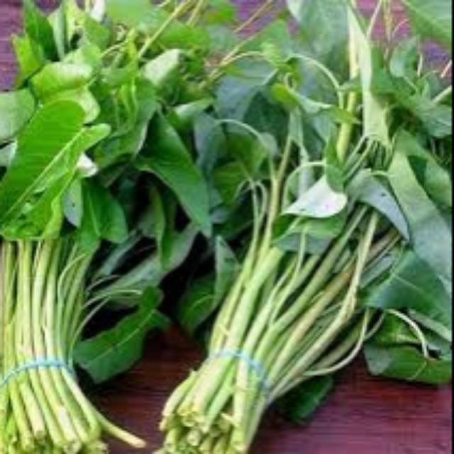 

Sayur Kangkung 1 ikat