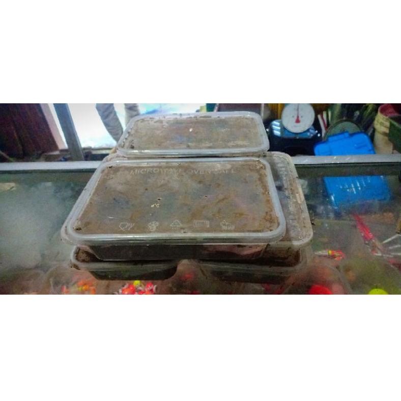 [KODE PRODUK 8TNE84280] umpan alam cacing nipah