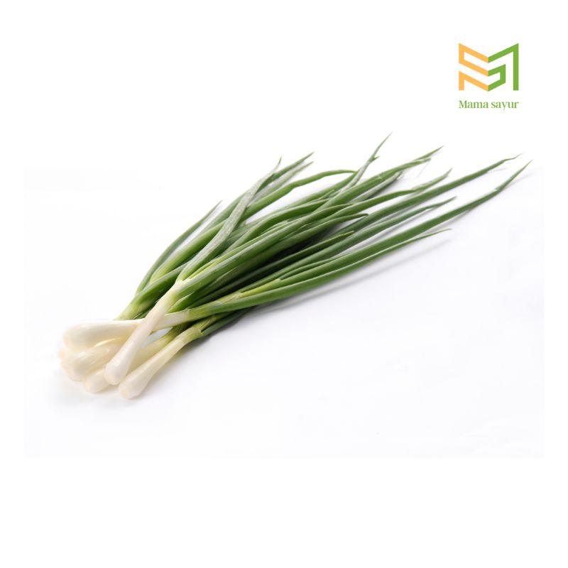 

Daun bawang segar per ikat