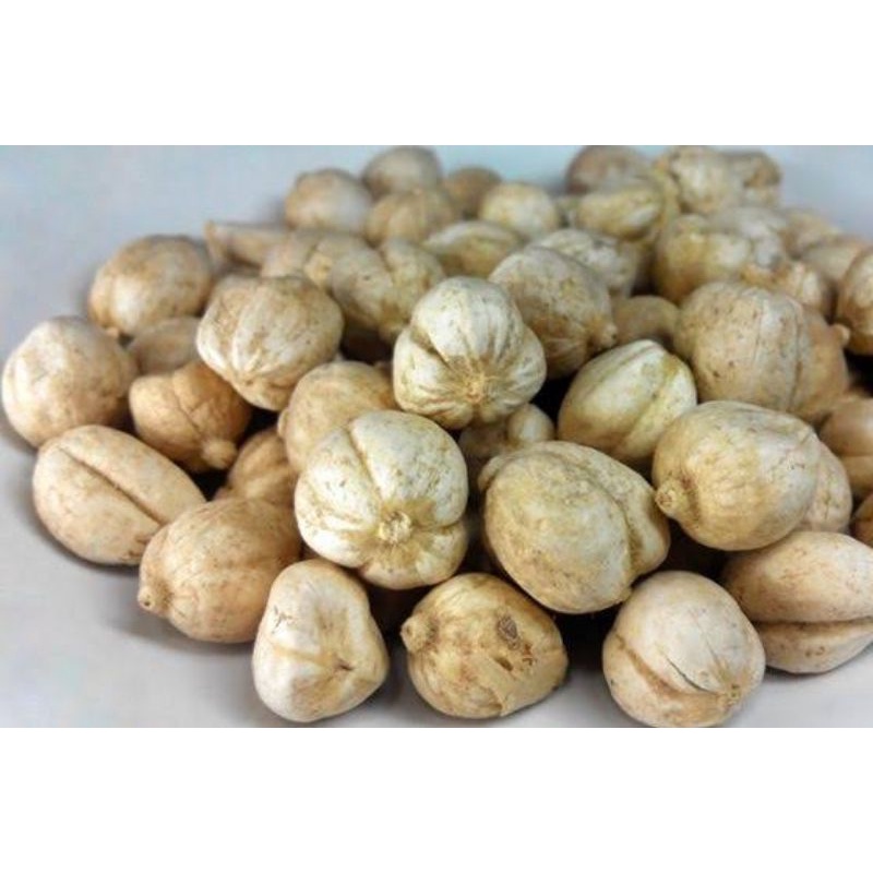 

7biji kapulaga rempah empon empon bumbu dapur murah grosir ekspor herbal
