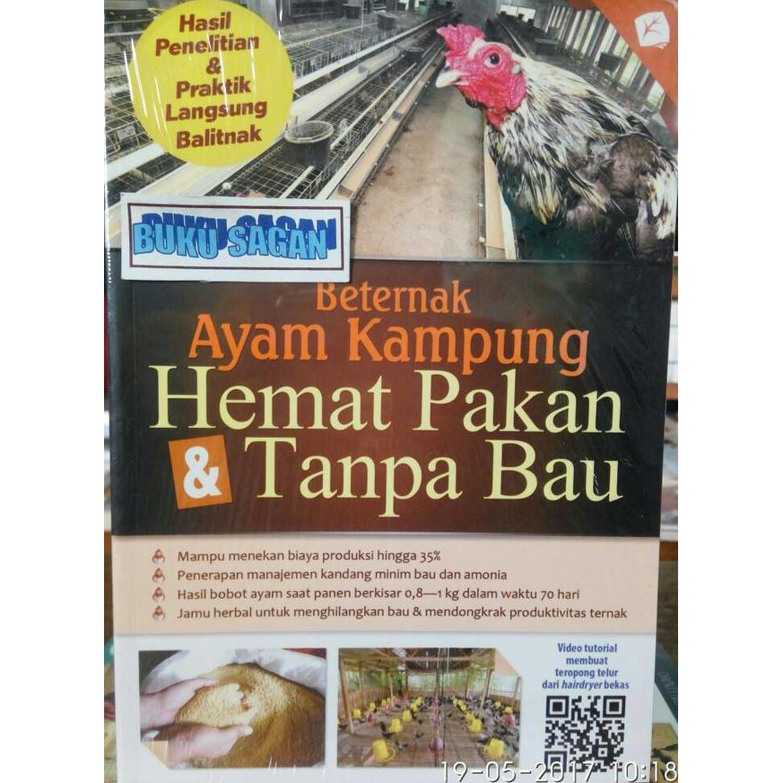 Beternak Ayam Broiler Tanpa Bau Tanpa Vaksin