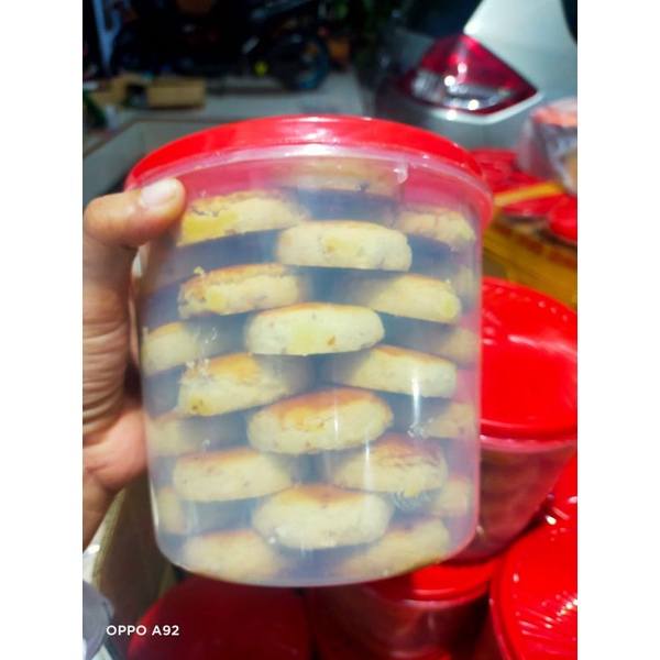 

kucang asli jember
