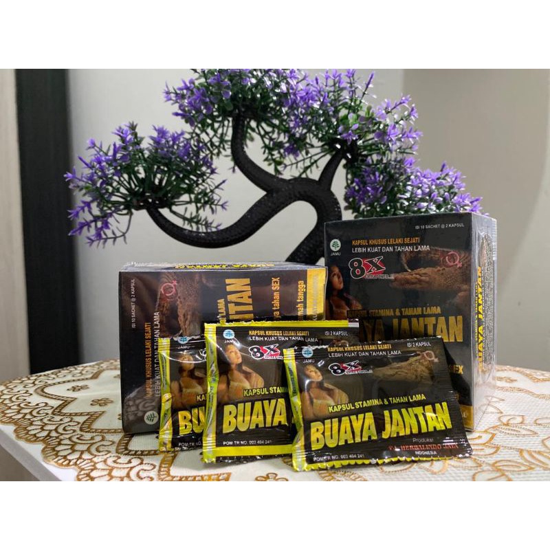 obat herbal buaya jantan ASLI