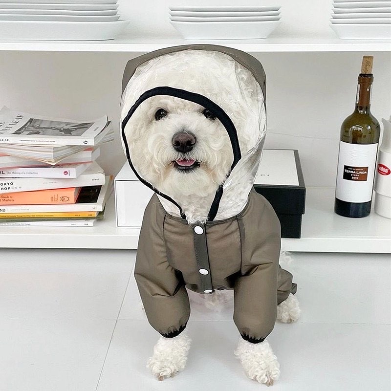 Hokkaido pet rainy day coat