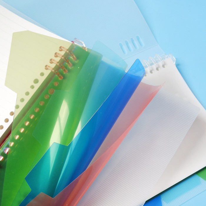 

Pendrawing- Seafoam Clear Color File Binder -Drawing-Pen.