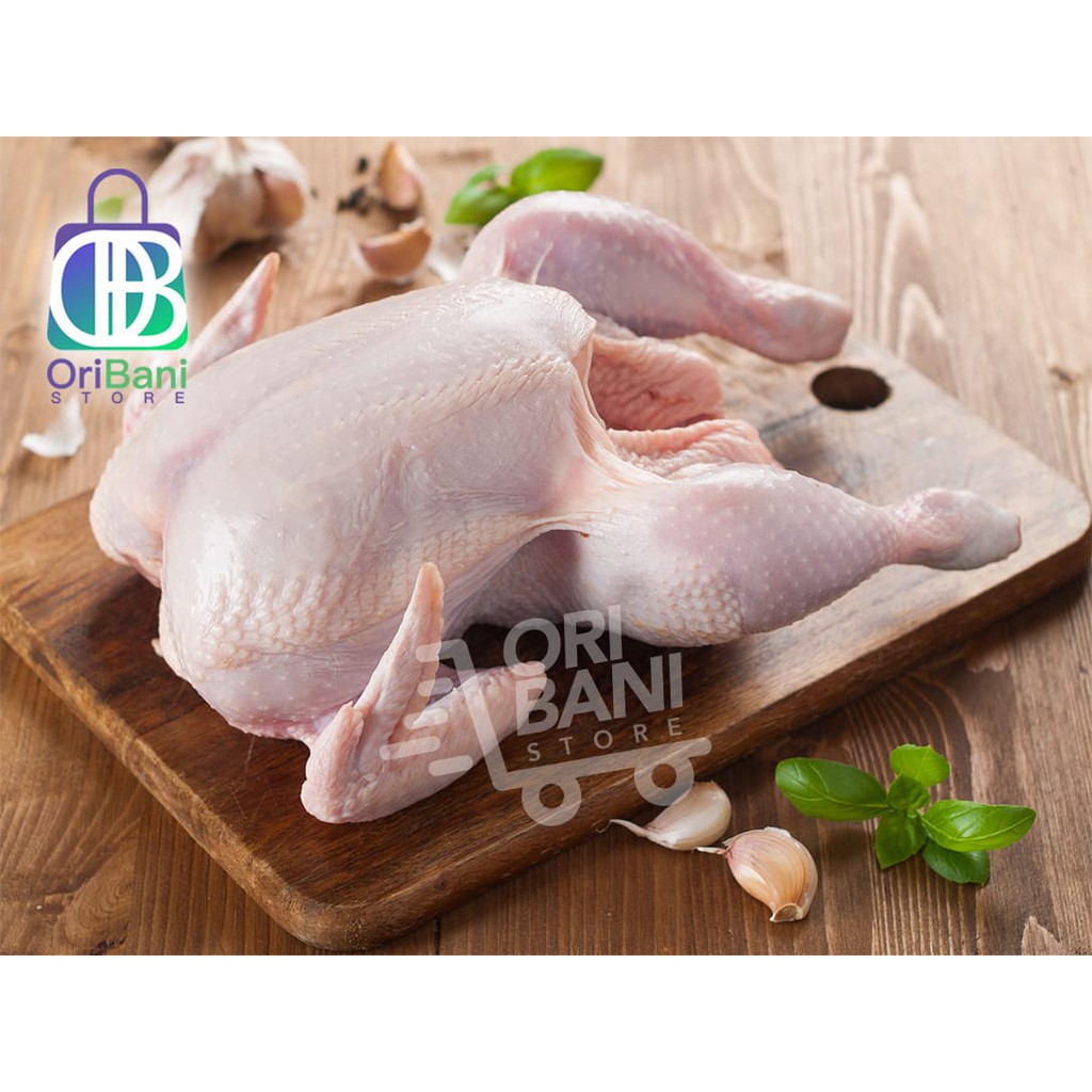 

Ayam Broiler Karkas Utuh 0,7 kg - 0,8 kg