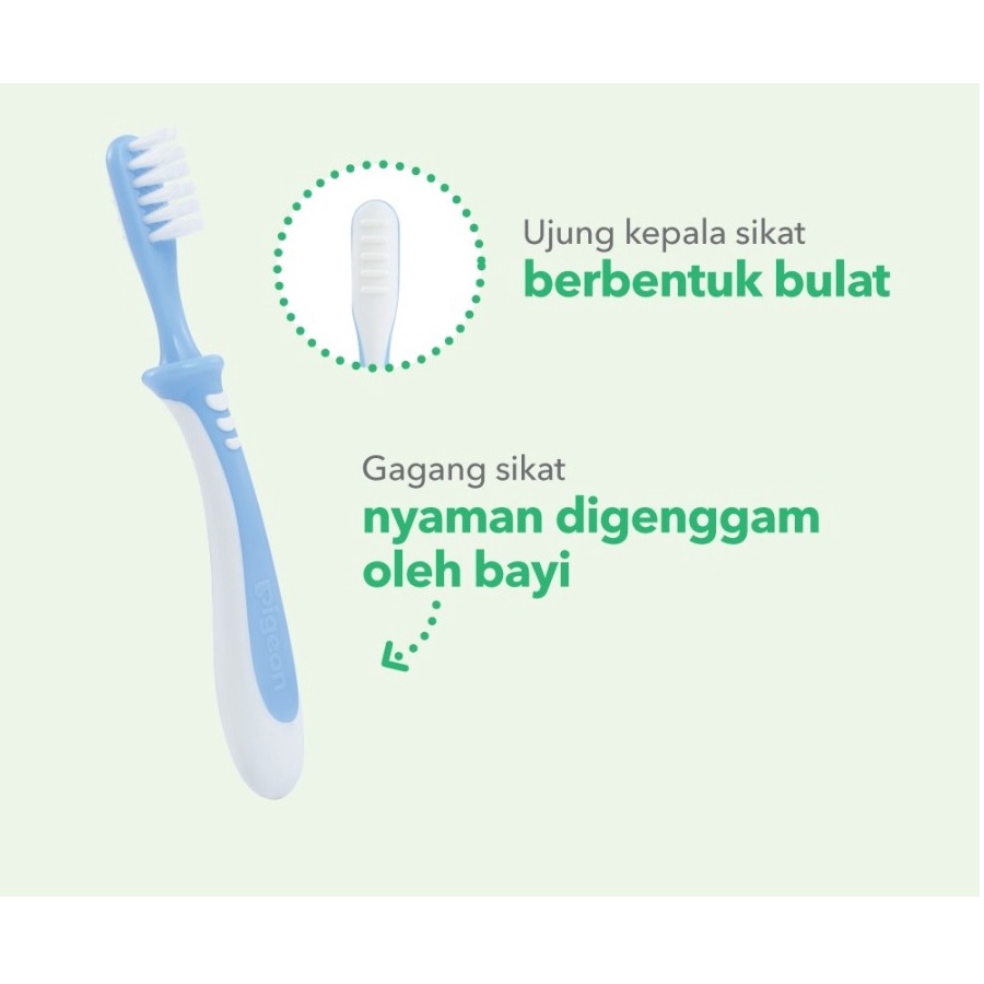 Pigeon Baby Training Toothbrush Lesson 3 Sikat Gigi Bayi Usia 12-18m+ Training Tooth Brush Pigeon WHS