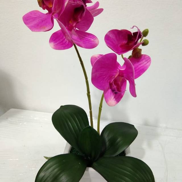 Anggrek latex vas keramik