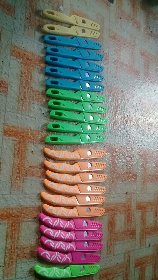 [38gr] Ppl Pisau Apel / Pisau Dapur Stainless / Pisau Buah / Pisau Apple