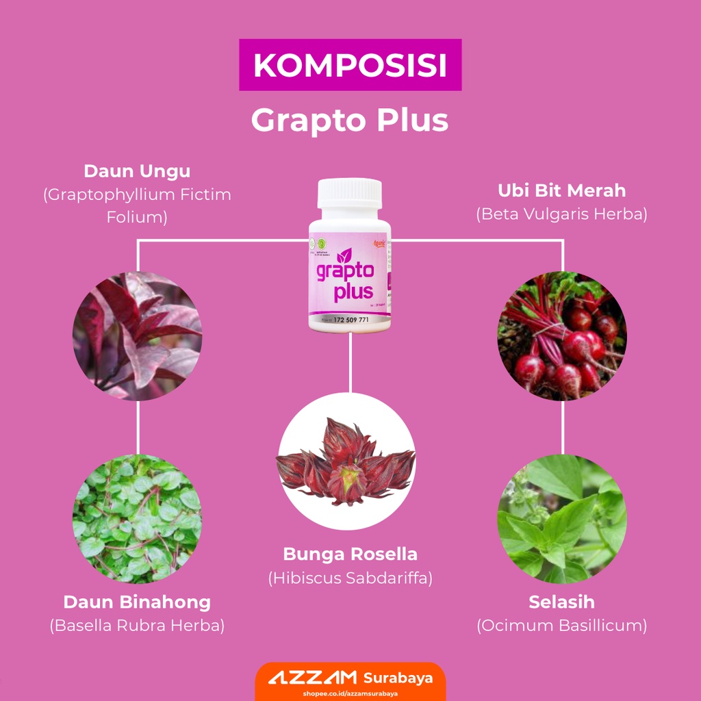 Grapto Plus Obat Herbal Ambeien Ampuh Wasir Gatal Pada Anus-2