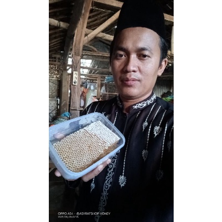 

sarang madu siap kirim seluruh Indonesia