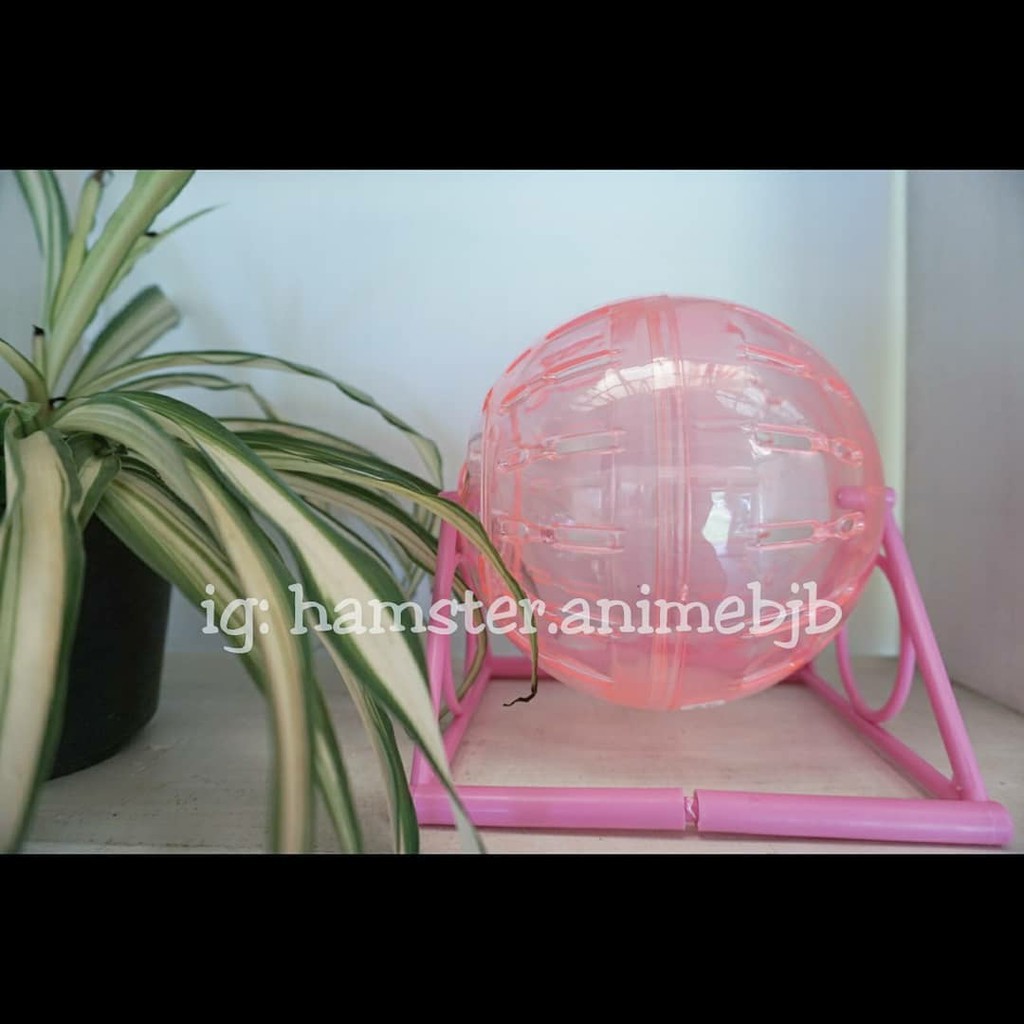 Hamster Ball Bola Hamster