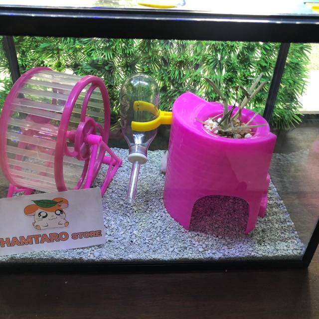 Mini Terarium Hamster model castle  Lengkap [ ONLY GOJEK / GRAB ]