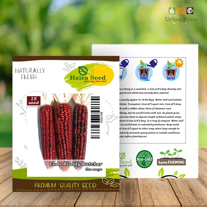 Bibit-Biji Jagung Ornamental Bloody Butcher (Haira Seed)