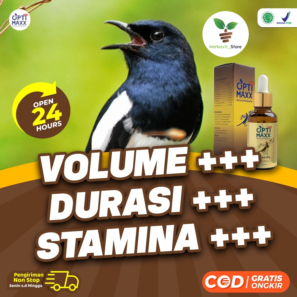 Optimaxx - Vitamin Burung Kicau Gacor Siap Juarai Gantangan Khusus Lovebird / Murai Batu / Kenari / Kacer / Jalak Suren / Kolibri / Kutilang