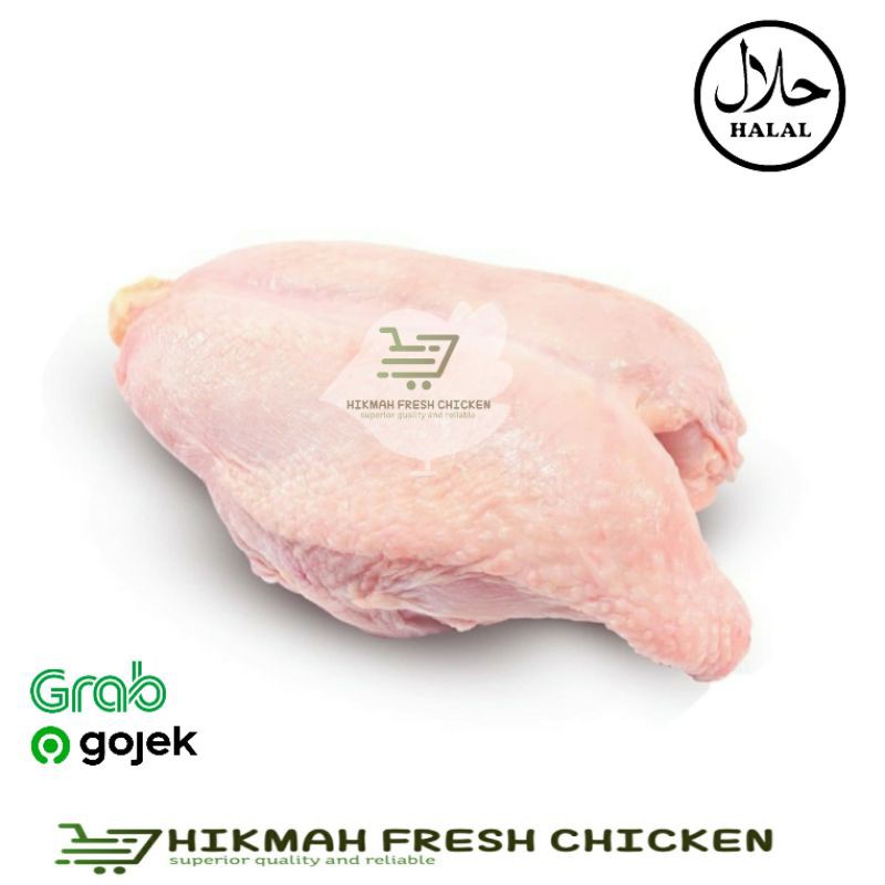 

Dada ayam potong boiler besar segar fresh berkualitas termurah