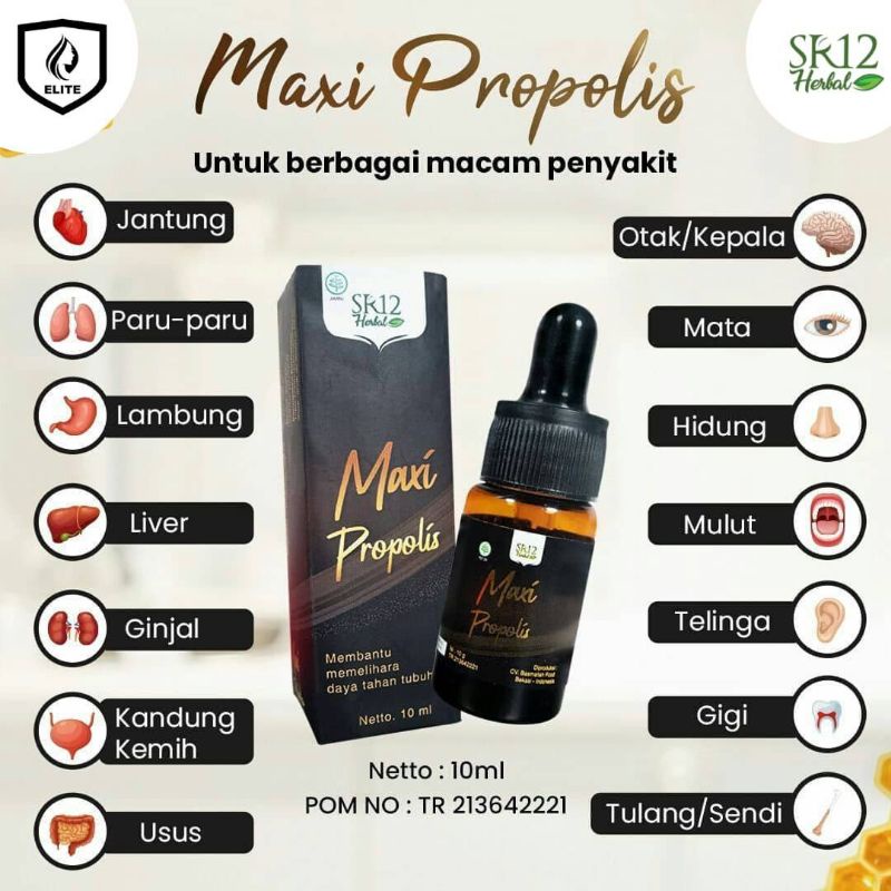 

maxi propolis