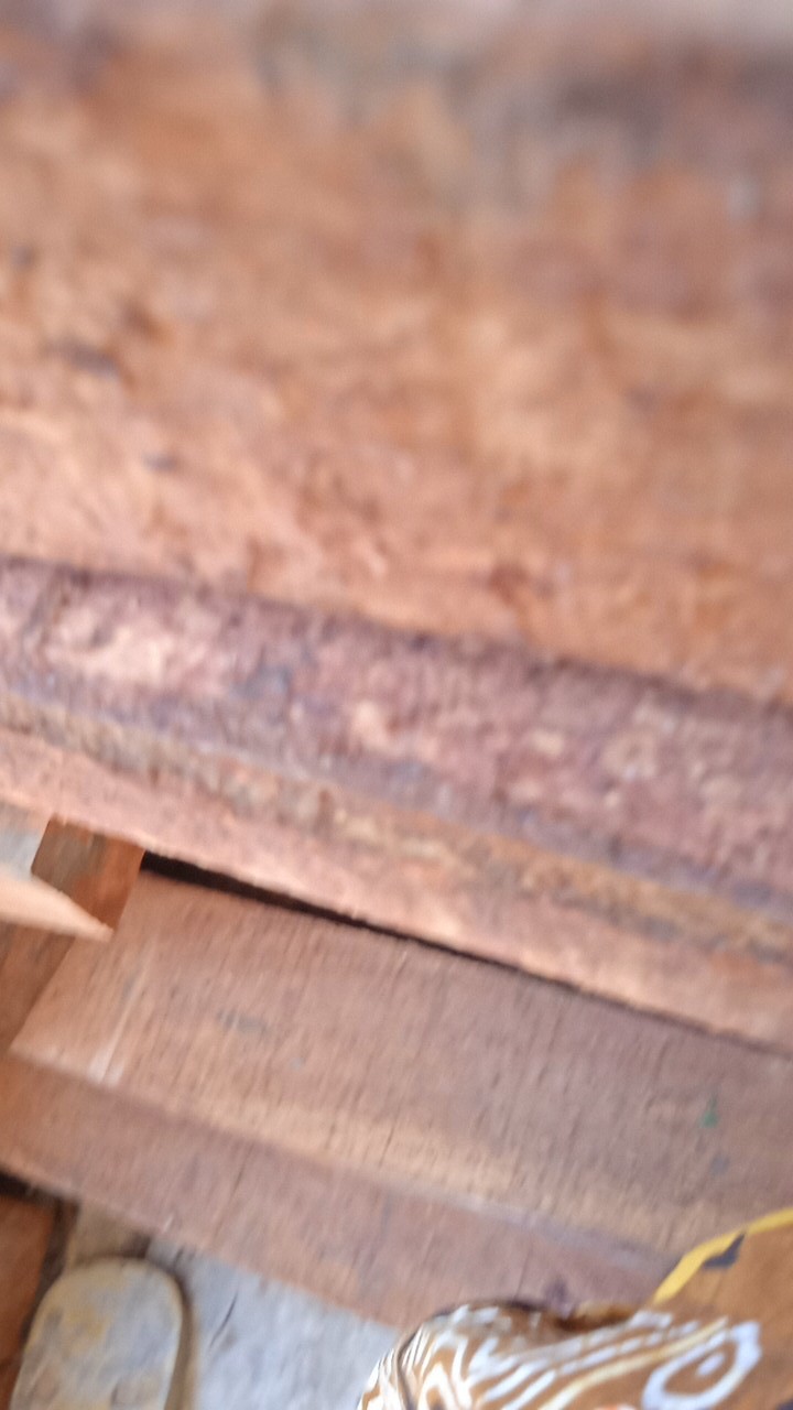 Kemeja Batik Pekalongan Terbaru Lengan Panjang Baju Pria Dewasa Terlaris Original Murah Bahan Katun