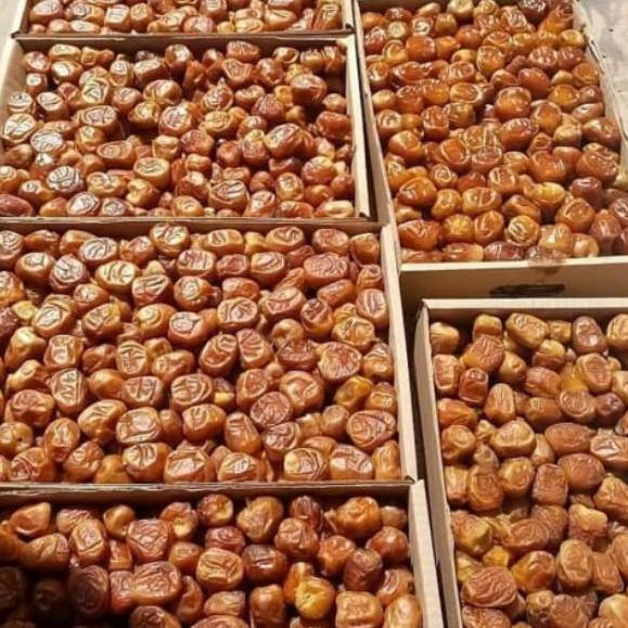 

[KODE PRODUK MERNI5142] Kurma Sukari 3kg ORIGINAL / sukari al qassim 3kg / Kurma Sukari Al qassim timbangan lebih