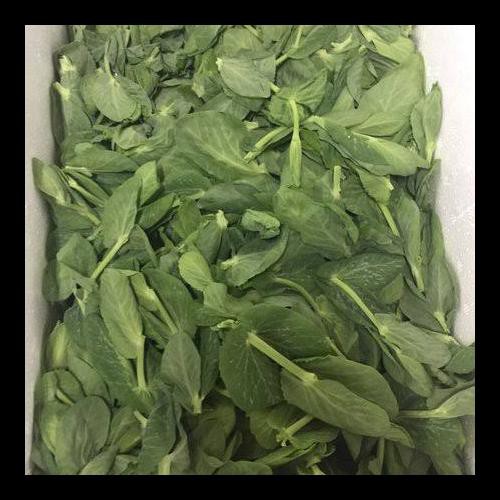 

Ready Tomeo/Tomiau/100Gram