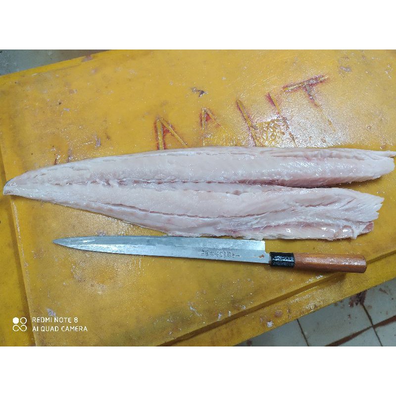 

ikan viletgabus