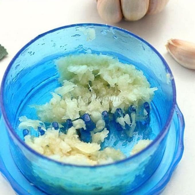 Garlic Pro Mini Alat Pencacah Penghalus Bawang Putih Mengiris chopper