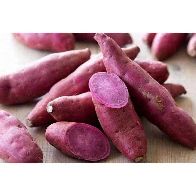 

Ubi Ungu MPASI 500gr / Ubi / Umbi / Sweet Potato / Diet