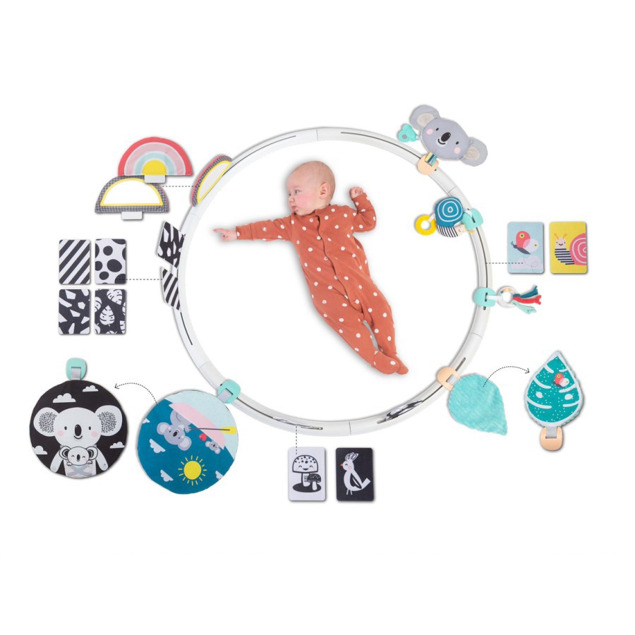 Taf Toys All Around Me Activity Hoop